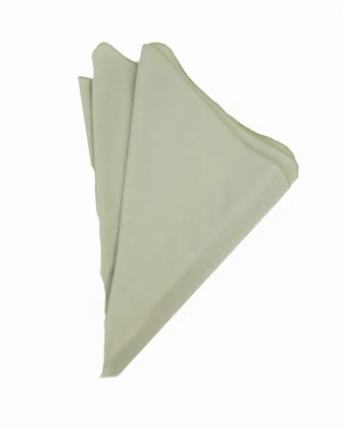 Polyester Willow napkin rental