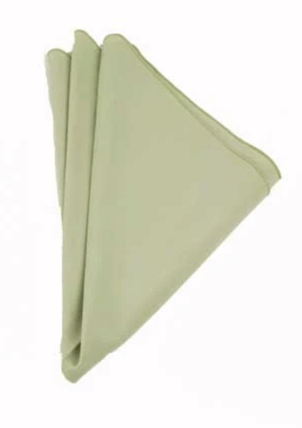 Polyester Light Green napkin rental