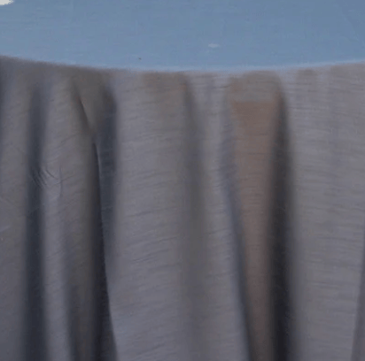 Dupioni Cobalt Blue napkin rental